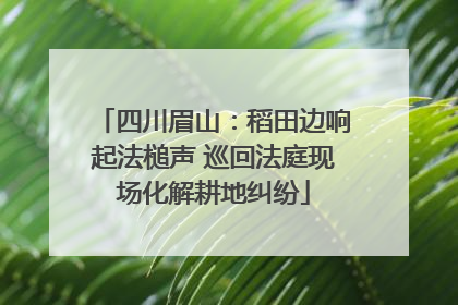 四川眉山：稻田边响起法槌声 巡回法庭现场化解耕地纠纷
