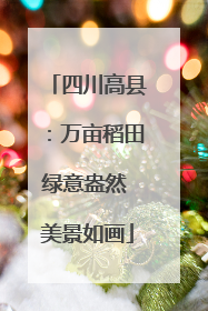 四川高县：万亩稻田绿意盎然 美景如画