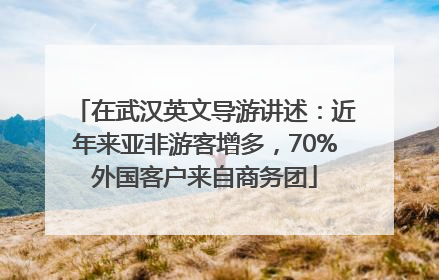 在武汉英文导游讲述：近年来亚非游客增多，70%外国客户来自商务团