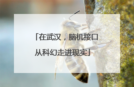 在武汉，脑机接口从科幻走进现实