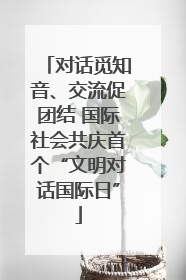 对话觅知音、交流促团结 国际社会共庆首个“文明对话国际日”