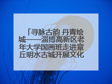 寻脉古韵 丹青绘城——淄博高新区老年大学国画班走进章丘明水古城开展文化研学活动