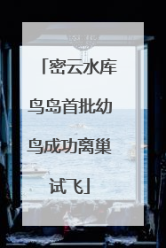 密云水库鸟岛首批幼鸟成功离巢试飞