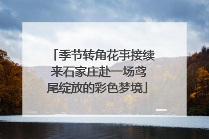 季节转角花事接续 来石家庄赴一场鸢尾绽放的彩色梦境
