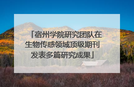 宿州学院研究团队在生物传感领域顶级期刊发表多篇研究成果