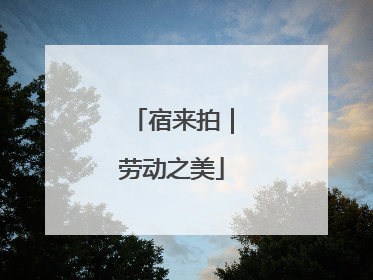 宿来拍｜劳动之美