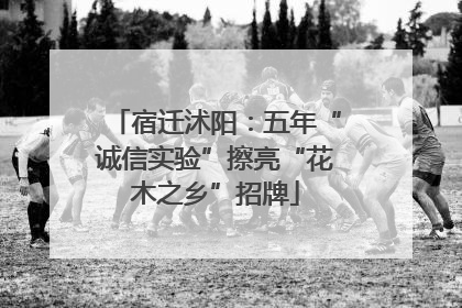 宿迁沭阳：五年“诚信实验”擦亮“花木之乡”招牌