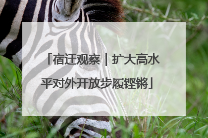 宿迁观察｜扩大高水平对外开放步履铿锵