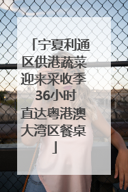 宁夏利通区供港蔬菜迎来采收季 36小时直达粤港澳大湾区餐桌