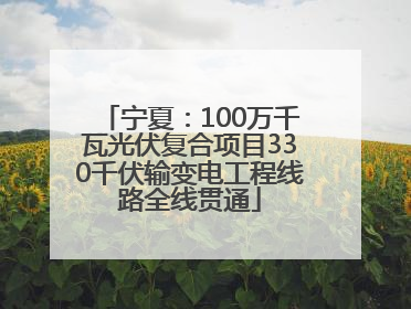 宁夏：100万千瓦光伏复合项目330千伏输变电工程线路全线贯通