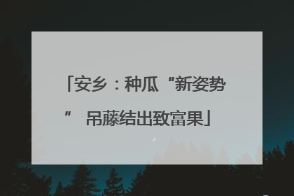 安乡：种瓜“新姿势” 吊藤结出致富果