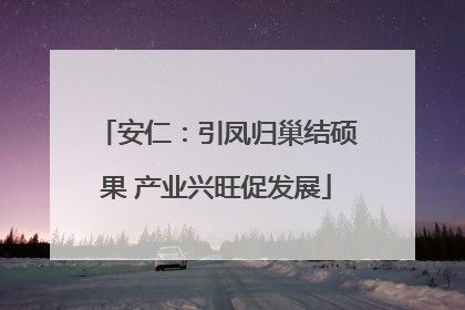 安仁：引凤归巢结硕果 产业兴旺促发展