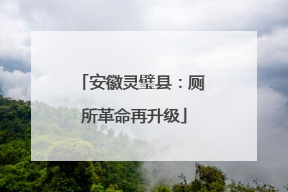 安徽灵璧县：厕所革命再升级