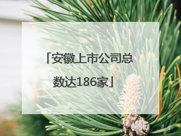 安徽上市公司总数达186家