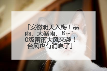 安徽明天入梅！暴雨、大暴雨、8～10级雷雨大风来袭！台风也有消息了