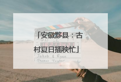 安徽黟县：古村夏日插秧忙