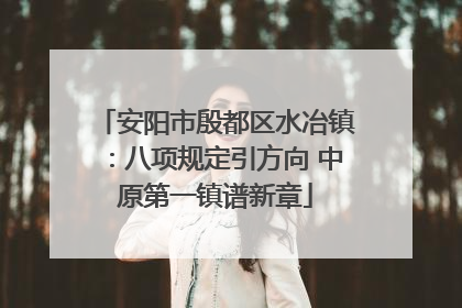 安阳市殷都区水冶镇：八项规定引方向 中原第一镇谱新章