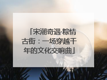 宋潮奇遇·粽情古街：一场穿越千年的文化交响曲