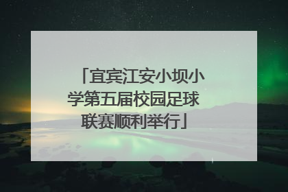 宜宾江安小坝小学第五届校园足球联赛顺利举行
