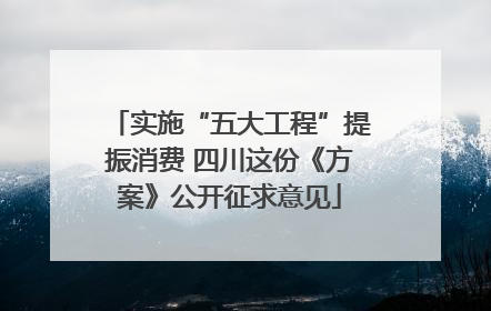 实施“五大工程”提振消费 四川这份《方案》公开征求意见