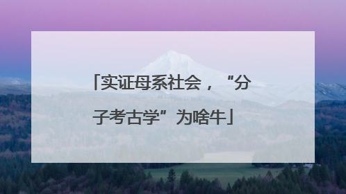 实证母系社会，“分子考古学”为啥牛