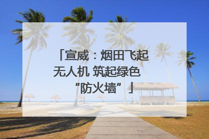 宣威：烟田飞起无人机 筑起绿色“防火墙”