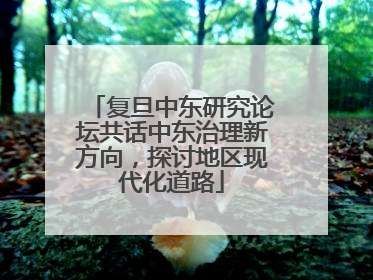 复旦中东研究论坛共话中东治理新方向，探讨地区现代化道路