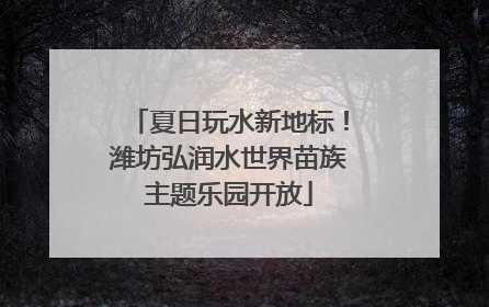 夏日玩水新地标！潍坊弘润水世界苗族主题乐园开放
