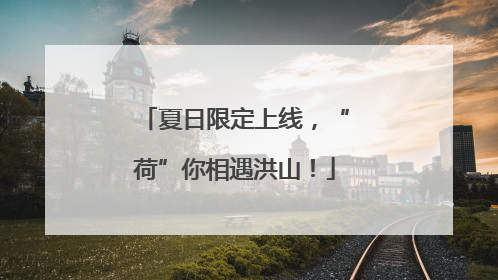 夏日限定上线，“荷”你相遇洪山！