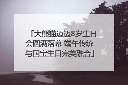 大熊猫迈迈8岁生日会圆满落幕 端午传统与国宝生日完美融合
