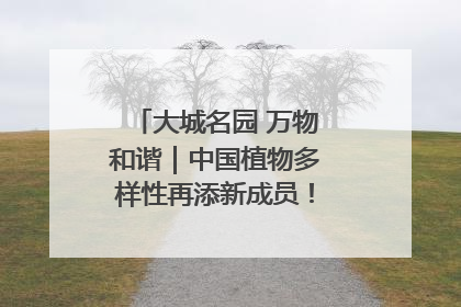 大城名园 万物和谐｜中国植物多样性再添新成员！它只在西藏墨脱