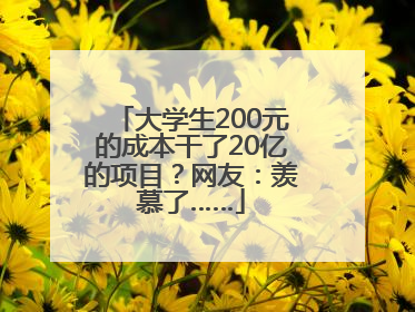 大学生200元的成本干了20亿的项目？网友：羡慕了……