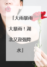 大雨暴雨大暴雨！湖北又迎强降水