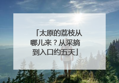 太原的荔枝从哪儿来？从采摘到入口约五天