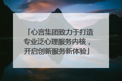 心言集团致力于打造专业泛心理服务内核，开启创新服务新体验