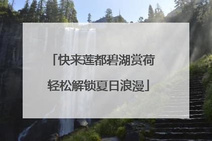 快来莲都碧湖赏荷 轻松解锁夏日浪漫