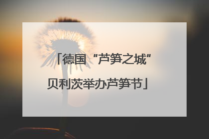 德国“芦笋之城”贝利茨举办芦笋节