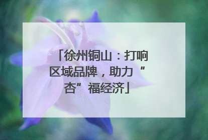 徐州铜山：打响区域品牌，助力“杏”福经济
