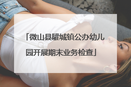 微山县驩城镇公办幼儿园开展期末业务检查