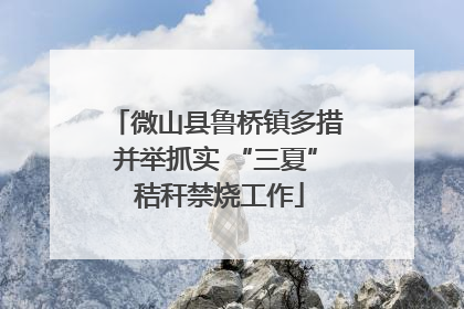 微山县鲁桥镇多措并举抓实 “三夏” 秸秆禁烧工作