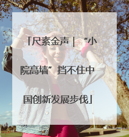 尺素金声｜“小院高墙”挡不住中国创新发展步伐