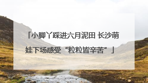 小脚丫踩进六月泥田 长沙萌娃下场感受“粒粒皆辛苦”