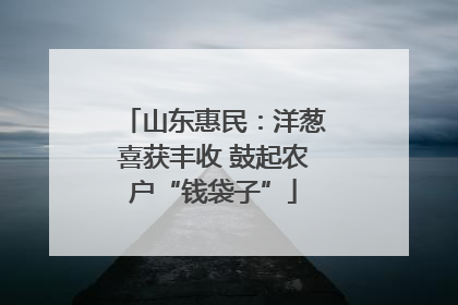 山东惠民：洋葱喜获丰收 鼓起农户“钱袋子”