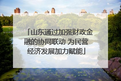 山东通过加强财政金融的协同联动 为民营经济发展加力赋能