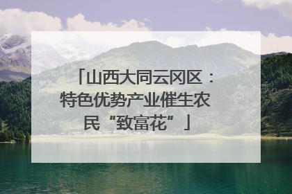 山西大同云冈区：特色优势产业催生农民“致富花”