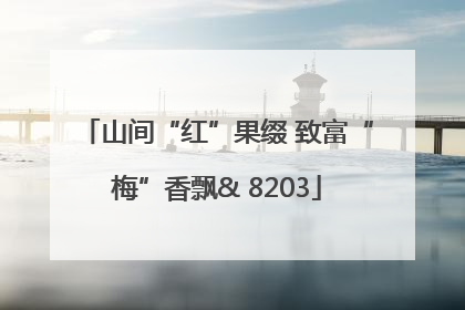 山间“红”果缀 致富“梅”香飘& 8203