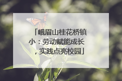 峨眉山桂花桥镇小：劳动赋能成长，实践点亮校园
