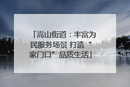 嵩山街道：丰富为民服务场景 打造“家门口”品质生活