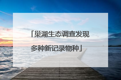 巢湖生态调查发现多种新记录物种