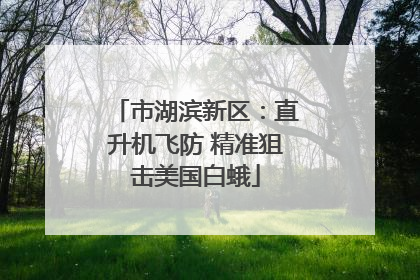 市湖滨新区：直升机飞防 精准狙击美国白蛾